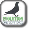 Evolution One Loft Race