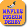 Naples Pigeon Derby